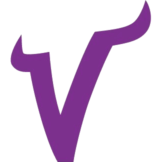 東洋大学アメリカンフットボール部VIKINGS